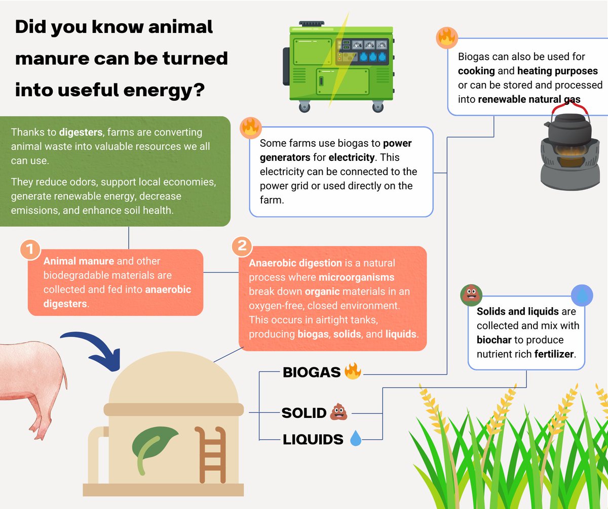 DCarbon 🌱 Decentralized Carbon Registry 🌱 tweet media
