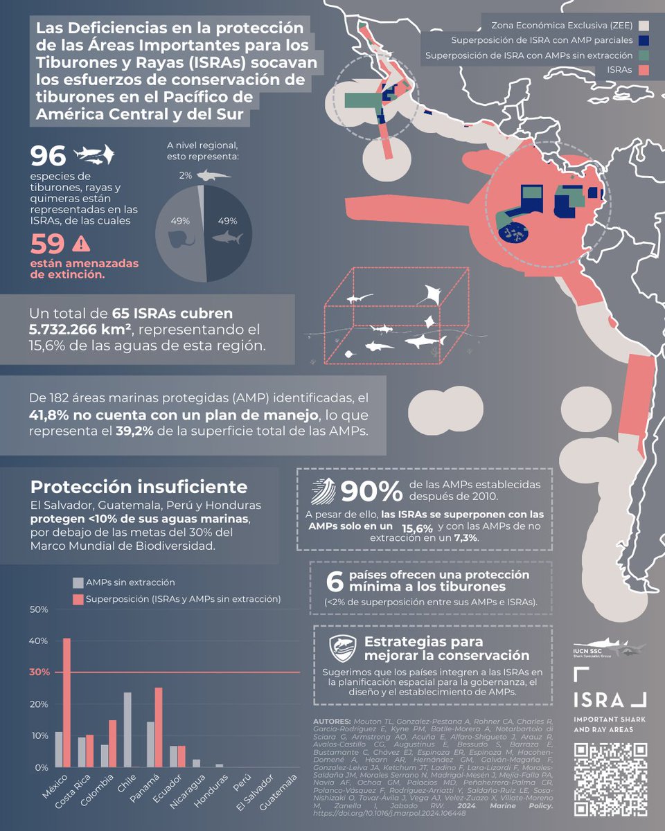 Important Shark and Ray Areas - ISRAs tweet media