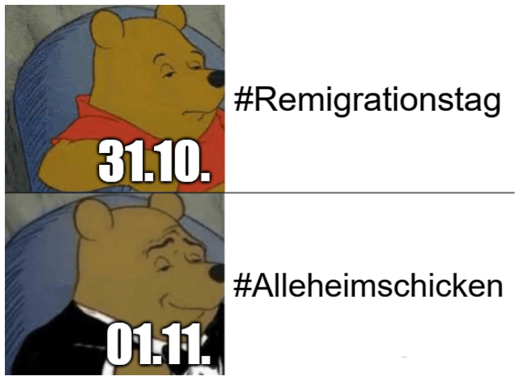 MohritzDE's tweet photo. #Remigrationstag #Alleheimschicken https://t.co/uJqOgNaaH7