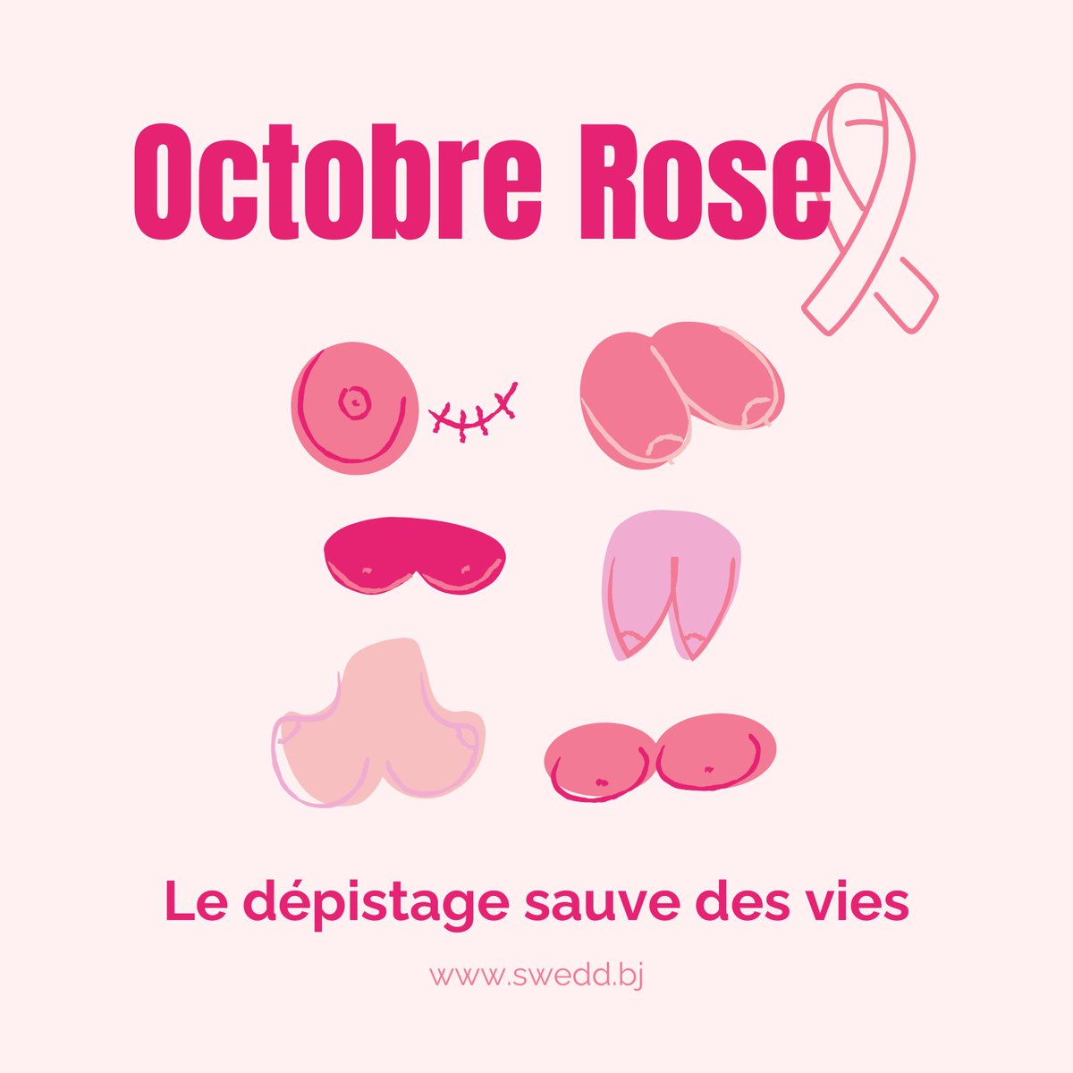 Projet SWEDD-Bénin tweet media