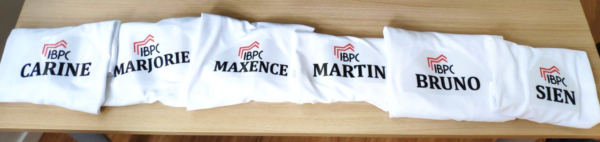 Miroux Bruno (@miroux_bruno) on Twitter photo J-4 for Ekiden Paris Marathon relais. Doing something big collectively, something difficult to achieve alone. A bit like science team project. Here are the runners: Carine Maxence Marjorie Martin Bruno and Sien. J-4 for Ekiden Paris Marathon relais. Doing something big collectively, something difficult to achieve alone. A bit like science team project. Here are the runners: Carine Maxence Marjorie Martin Bruno and Sien.