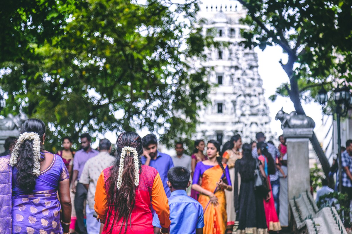 Colours of Colombo tweet media