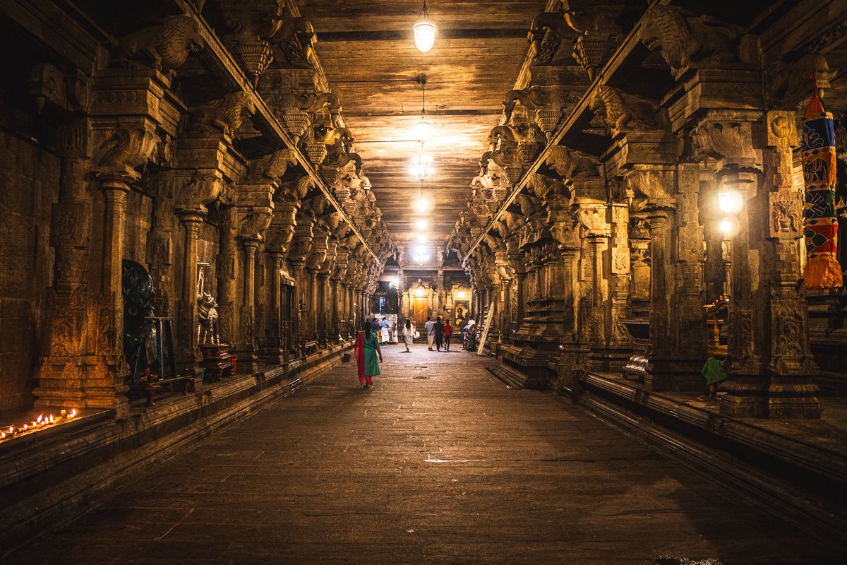 Colours of Colombo tweet media