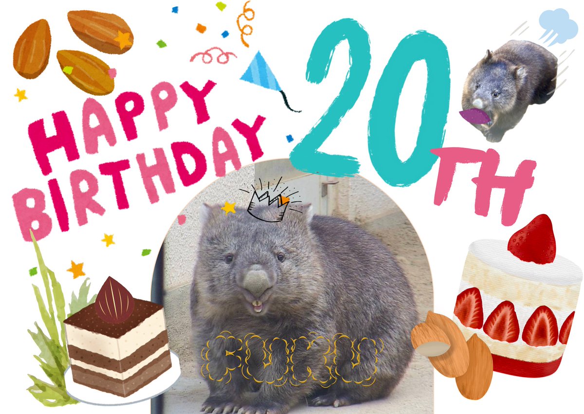 川越 明由美 tweet media