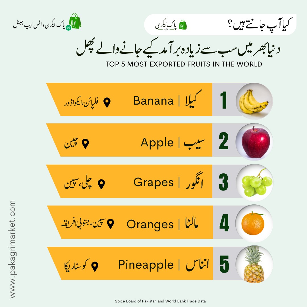 2024میں، عالمی پھلوں کے برآمدی مارکیٹ کی قیمت تقریباً 96.6 بلین ڈالر ہے۔ پھلوں کی تجارت میں اہم کردار ادا کرنے والے ممالک میں ایکواڈور (کیلے) اور میکسیکو (ایووکاڈو) شامل ہیں
#fruits 
#growfruitstree