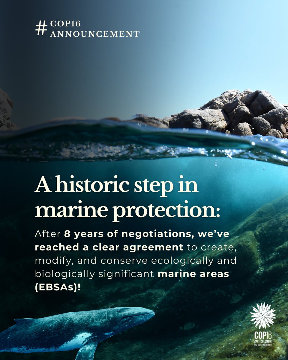 ✅ Approved in the plenary of the #COP16Colombia decision on marine areas of ecological importance!