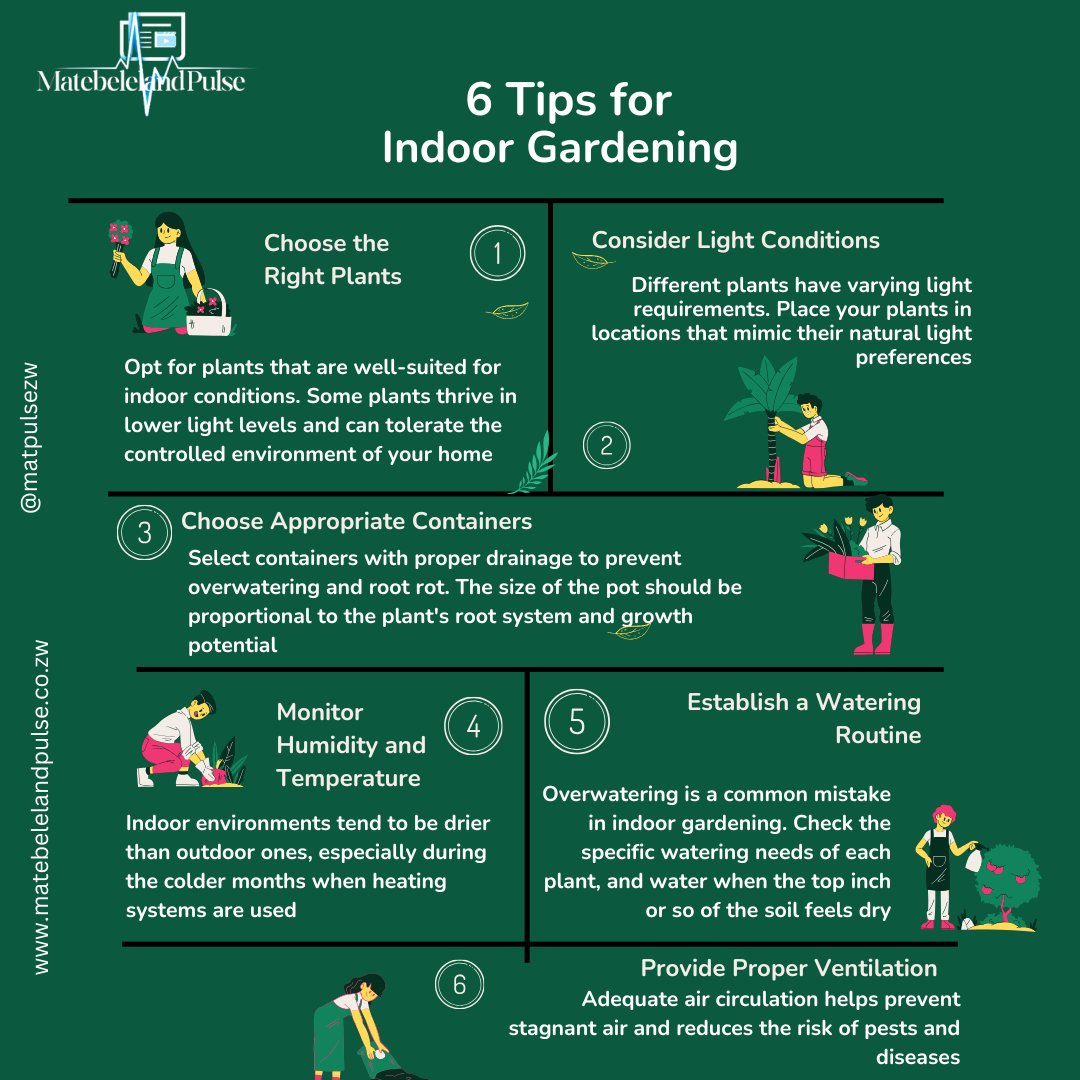 Want to bring a touch of nature indoors? Here are 6 tips 4 #indoorgardening to get you started: 

1. Choose e right plants
2. Consider light conditions 
3. Choose right containers 
4. Monitor humidity &amp; temperatures
5. Have a water routine
6. Ensure air circulation

#GreenThumb