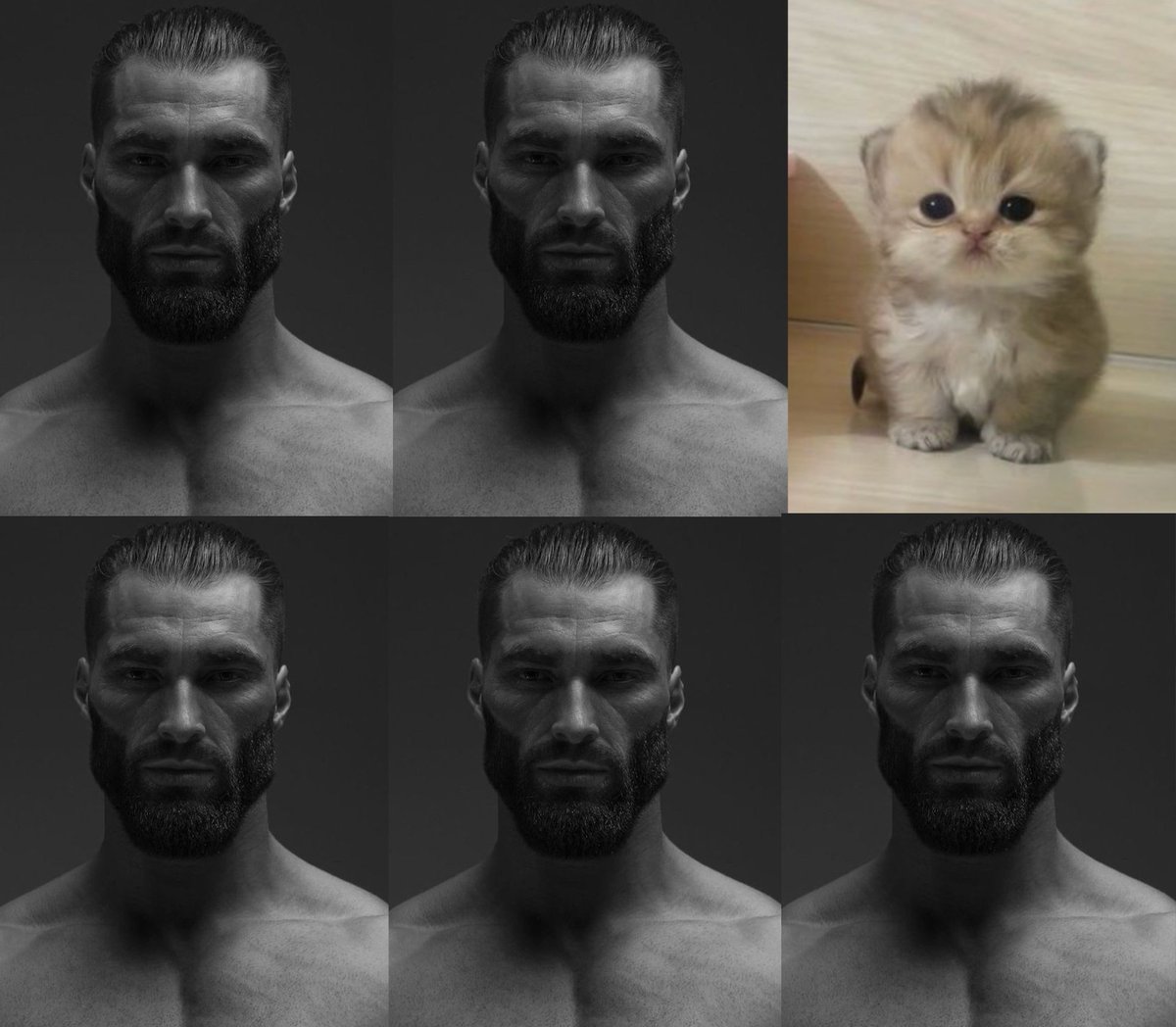 Daily March 7th (@hsrmarch7th) on Twitter photo 