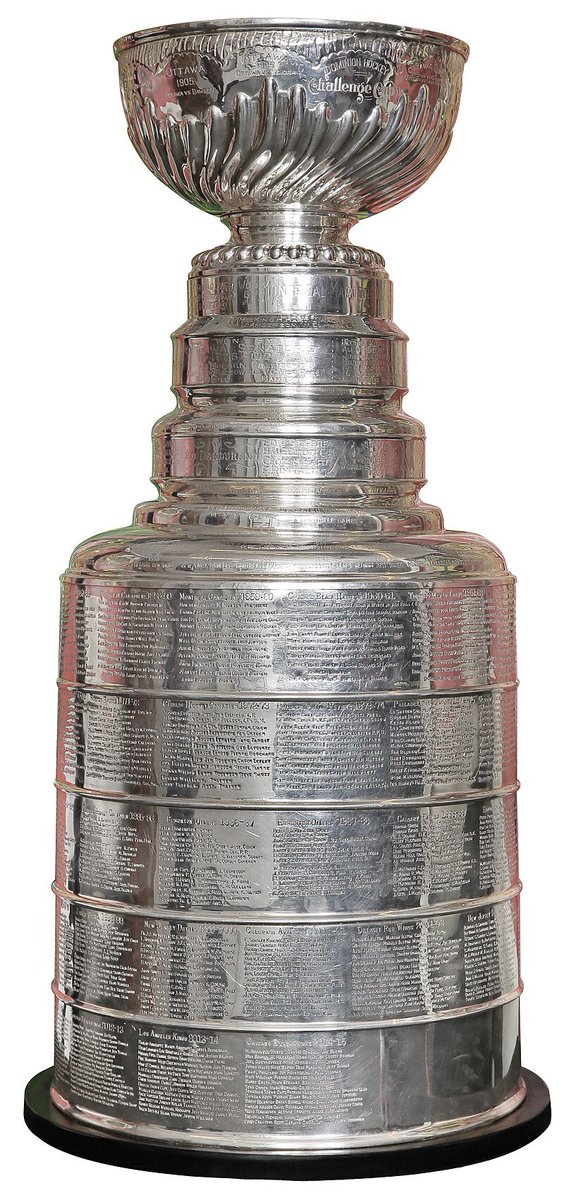 OiseauDeMalheur's tweet image. But why someone will bring the Stanley Cup to Disneyland…. #NotPractical