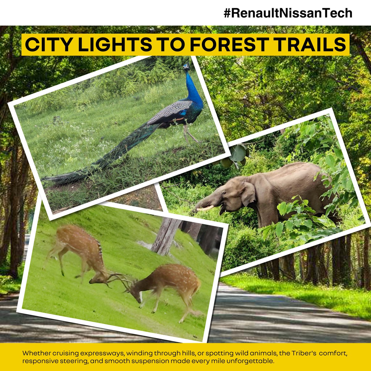officialRNTBCI's tweet photo. Five enthusiastic adventurers of the Renault Quality team set out on an epic 4-day road trip in the Renault Triber, journeying from the bustling streets of Chennai to the scenic beauty of Bengaluru, Bandipur, Ooty, and back! https://t.co/u87Uvx2sUw
