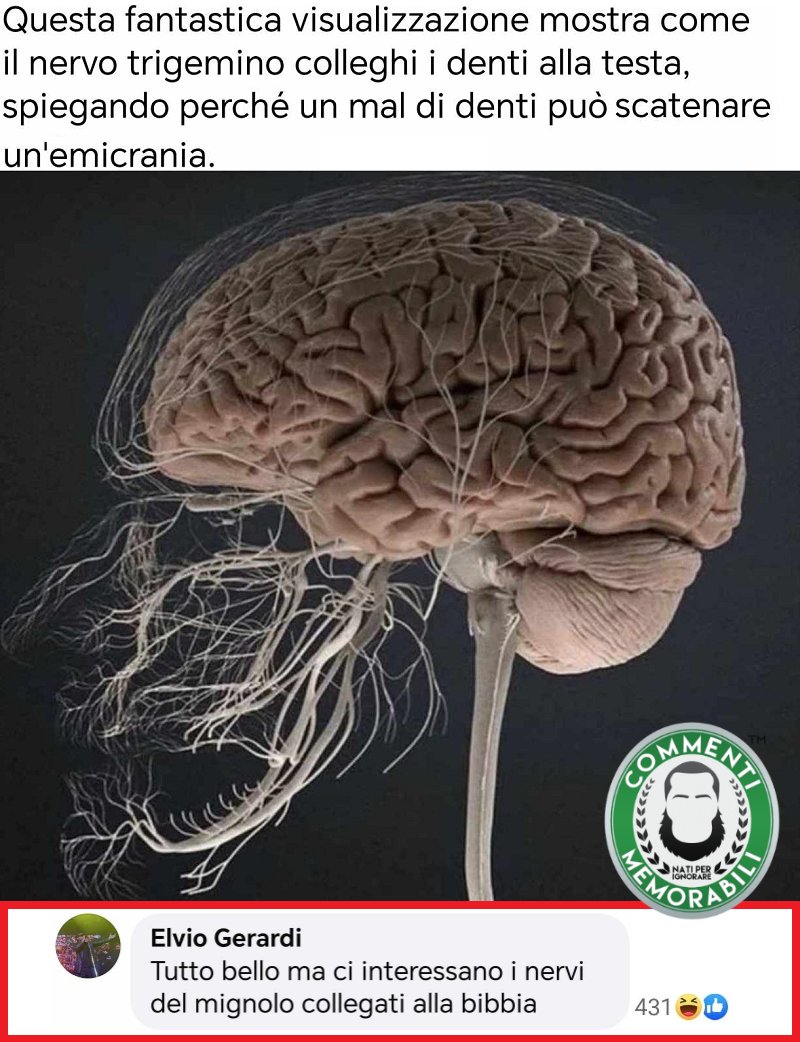 GbMgHI0XgAAOeSi?format=jpg&name=medium