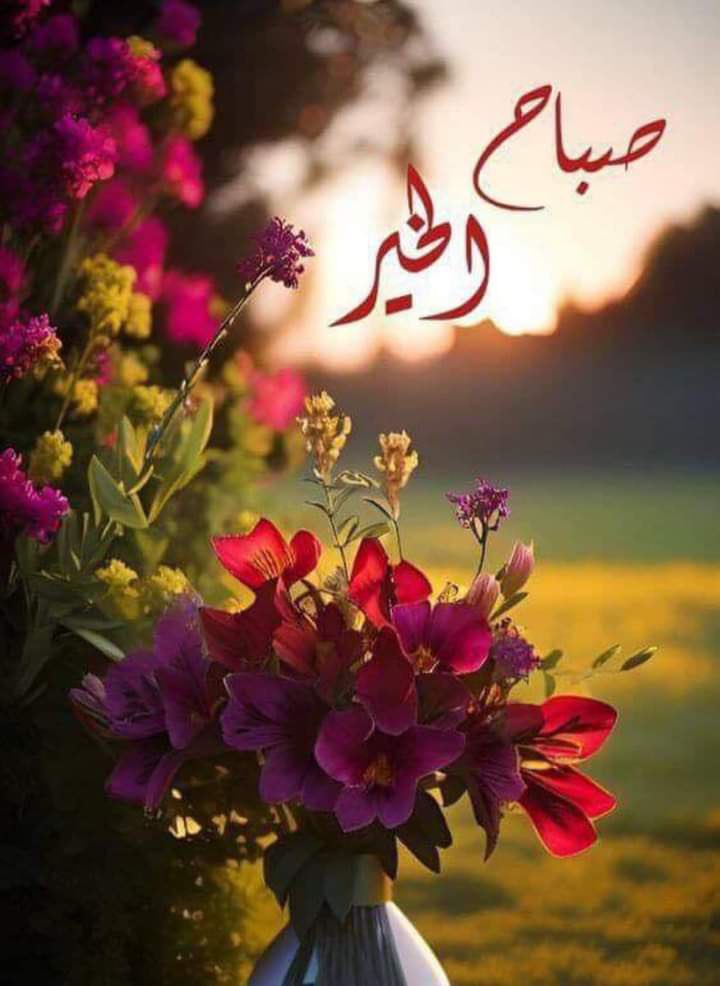 Amool1397's tweet photo. الصباح هو نكهة البدايات الجميلة .
كم أذهب الصباح من هم،
وكم أوقظ من فرح 
وكم سعدنا بنسماته اللطيفة،
وكم أشرق القلب فيه بذكر الله .
صباحكم بسمة تزين وجوهكم ونسمات فرح تعانق أرواحكم .
#صباح__الخيرِ https://t.co/acVpIyp5dP