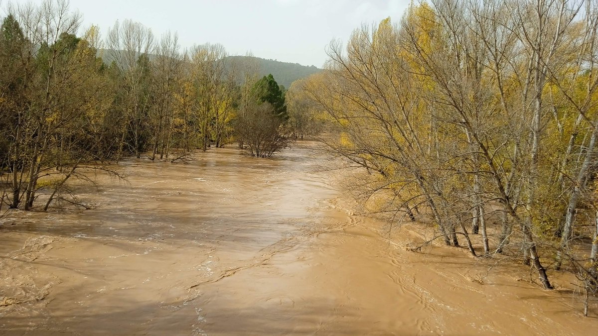 Fernando Rodriguez 🇵🇸 tweet media