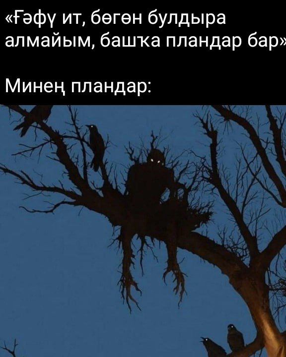 bashkortmem's tweet image. 