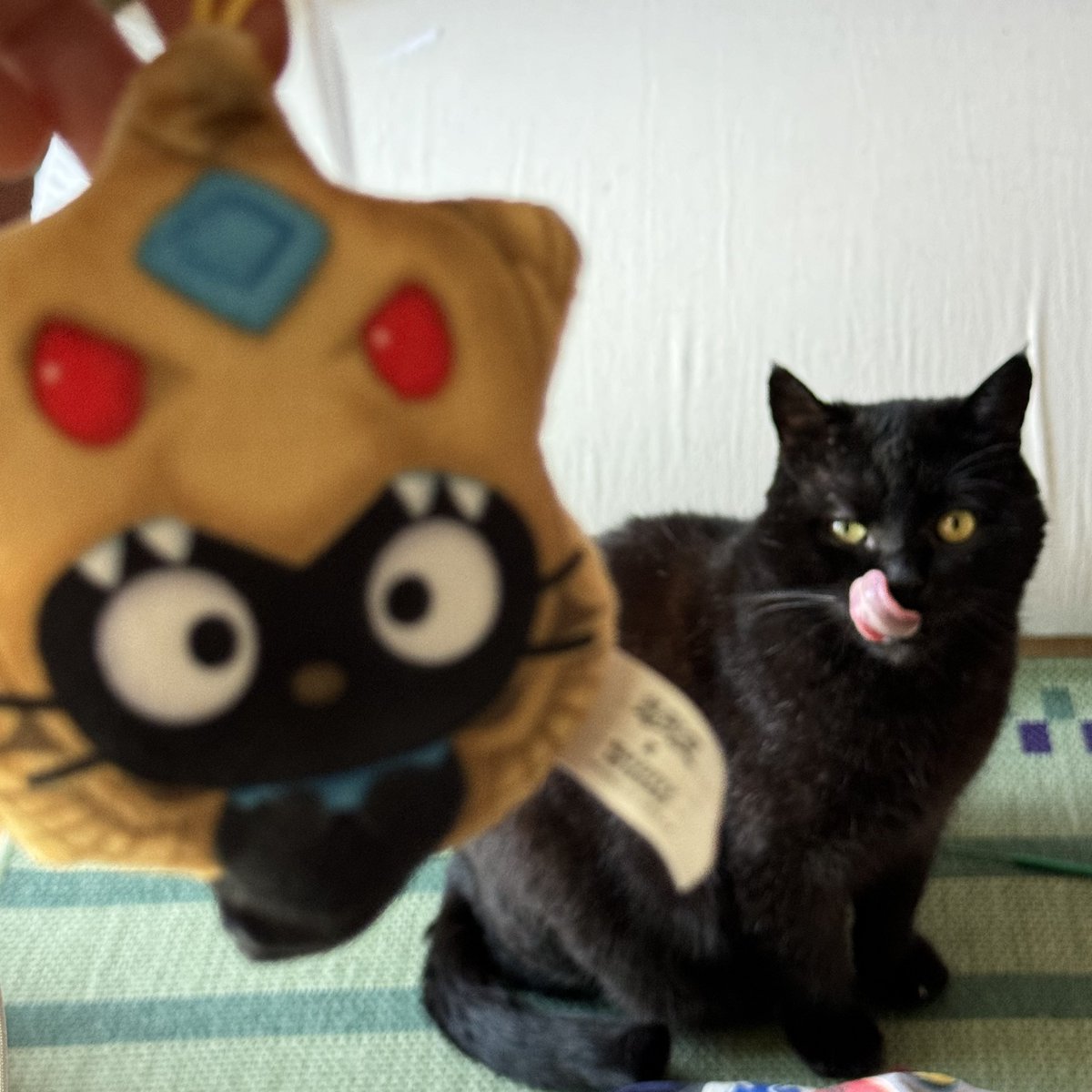 긔긔 (@lesgogoproject) on Twitter photo 