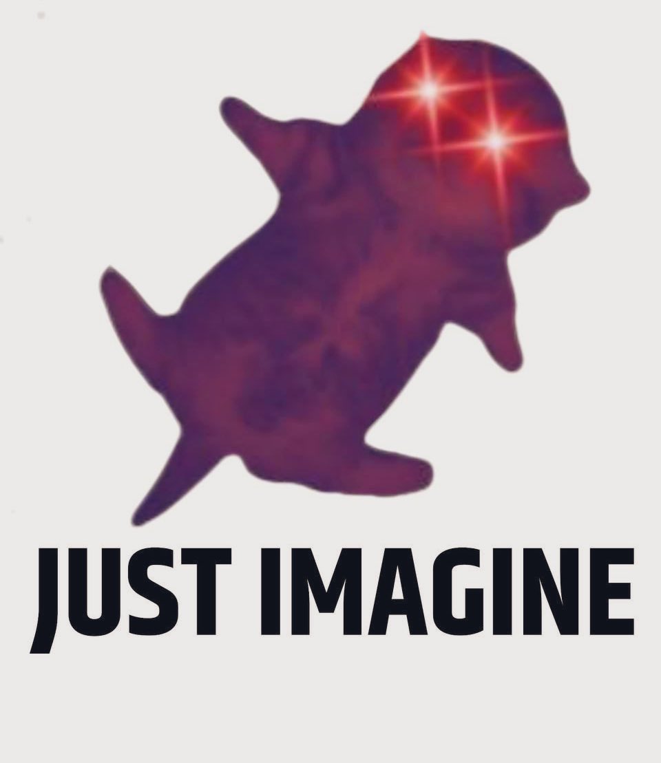 Imaginecat_'s tweet photo. When you realize dreaming and imagining are kinda the same…and you’re suddenly the ruler of #ImagineNATION https://t.co/YVe309vHFW