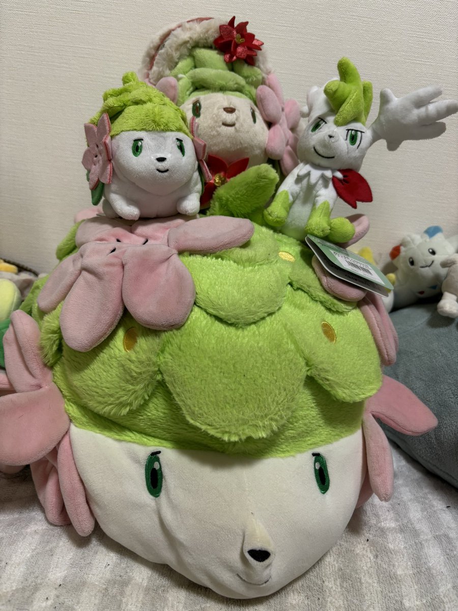 hosso_jp's tweet photo. クリスマスシェイミ届いた！飾り付けオシャレでかわいい〜〜〜
後ろの草にボンボン付いてるのめちゃくちゃいい......
シェイミもぬいぐるみ増えたなぁ https://t.co/FxhyK82qdc