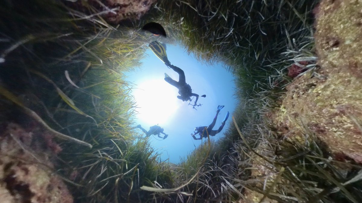 Yesterday, we filmed a dive in the “Secche della Meloria” marine protected area near Livorno, where Italian researchers tested an underwater acoustic “WiFi/GPS” system developed by <a href="/WSENSE_IoUT/">WSENSE</a> through the WTAG project. Look out for my TV story on it, coming in November!