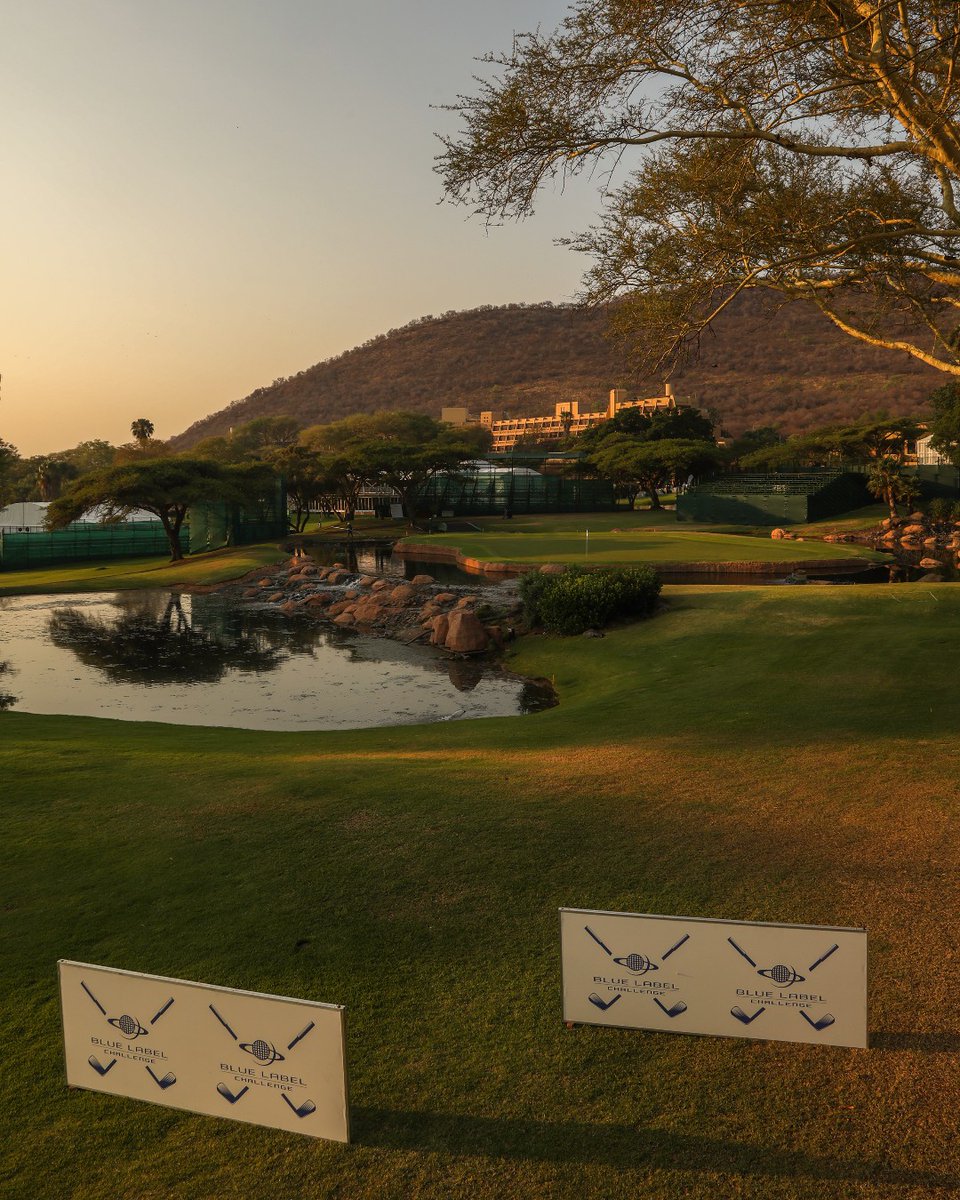 Sunshine_Tour's tweet photo. Welcome to the day 2 coverage of the #BlueLabelChallenge. 

⛳ Open the Sunshine Tour app for the live leaderboard. 

#GreatnessBeginsHere #SunshineTour https://t.co/ciuZ8ITzcq