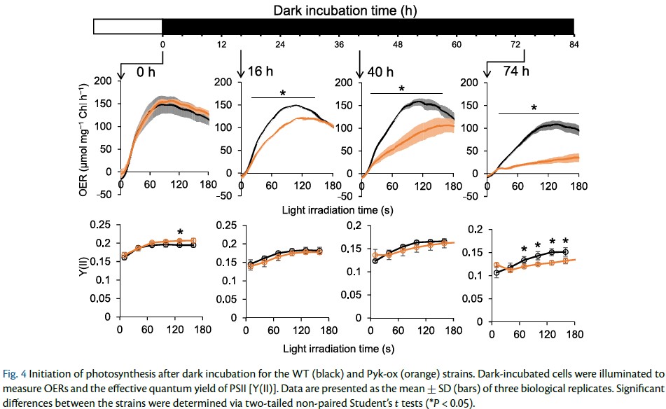 PCP_EIC's tweet photo. 🚅Advance Access: Regular Paper💐
Minimized Dark Consumption of #CalvinCycle Intermediates Facilitates the Initiation of Photosynthesis in Synechocystis sp. PCC 6803
Kenya Tanaka et al.
https://t.co/WBuNx3l5Gh
#cyanobacteria #plantsci https://t.co/LhJcwgYEbr