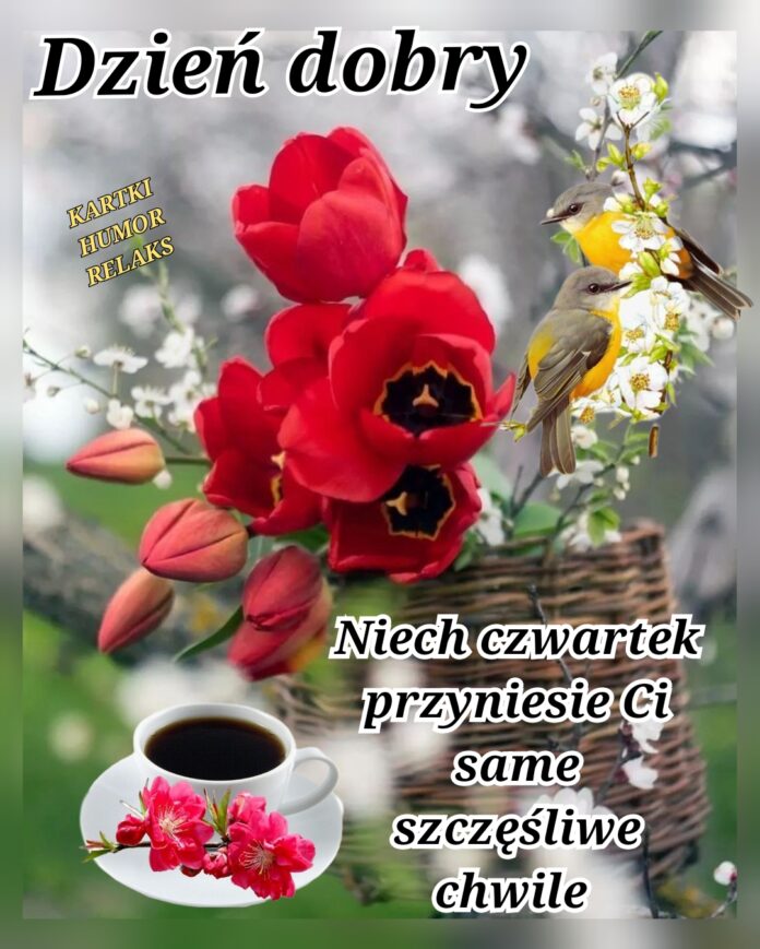 Marsonikkk's tweet photo. Pozdrawiam https://t.co/90bqhKOJHf