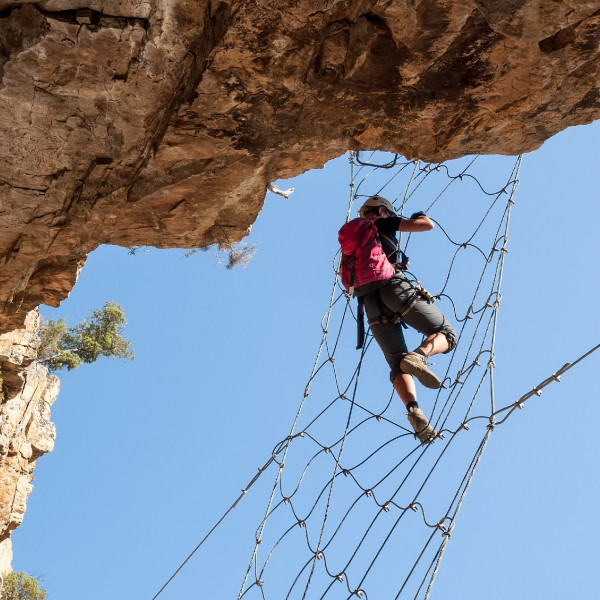 Corse Orientale tweet media