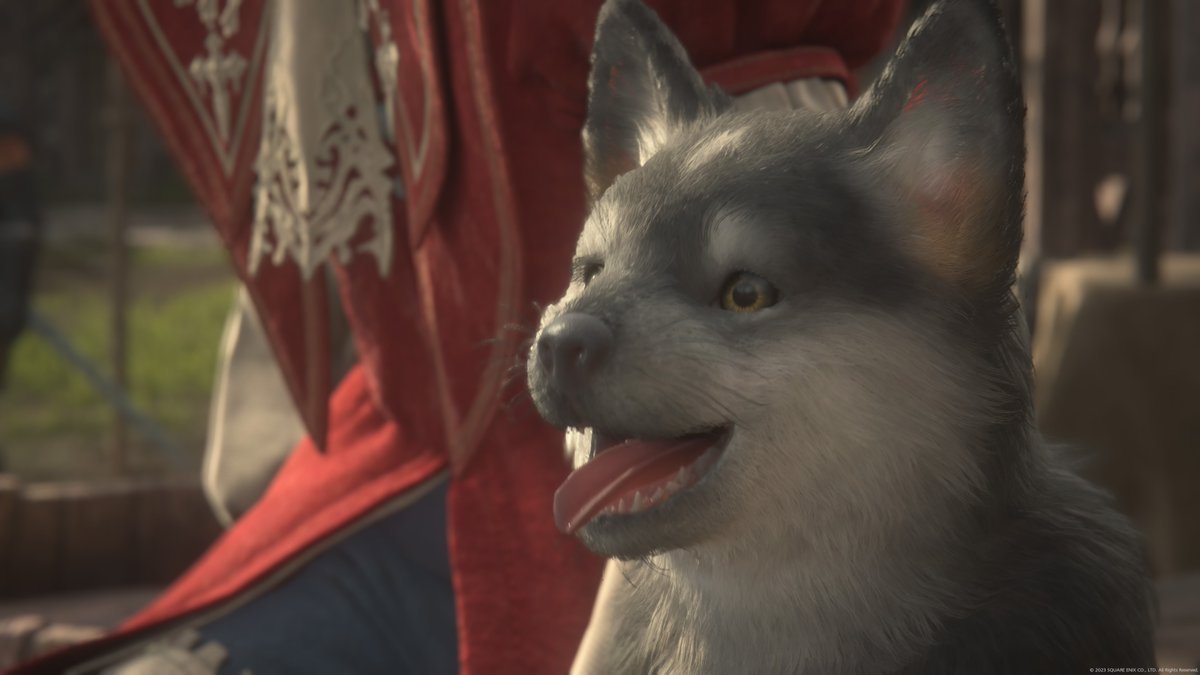 maengraeng_ff14's tweet image. โ ๏ธ๐๐!!!๋ธ์ค ์ด์ฌ์ค!!!!๐๐โ ๏ธ
์ค์ค ๋ถ์ ์๋ ๊ณ์ ํ๋ก์ฐ ํด์ฃผ์ธ์!
*๋ก๊ทธ์ธ ํ ๊ฒฝ์ฐ์๋ง ํ๋กํ์ด ๋น๋๋ค!
โโโโโโโโโโโโโโโโ
@ maengraeng-game.bsky.social
โโโโโโโโโโโโโโโโ