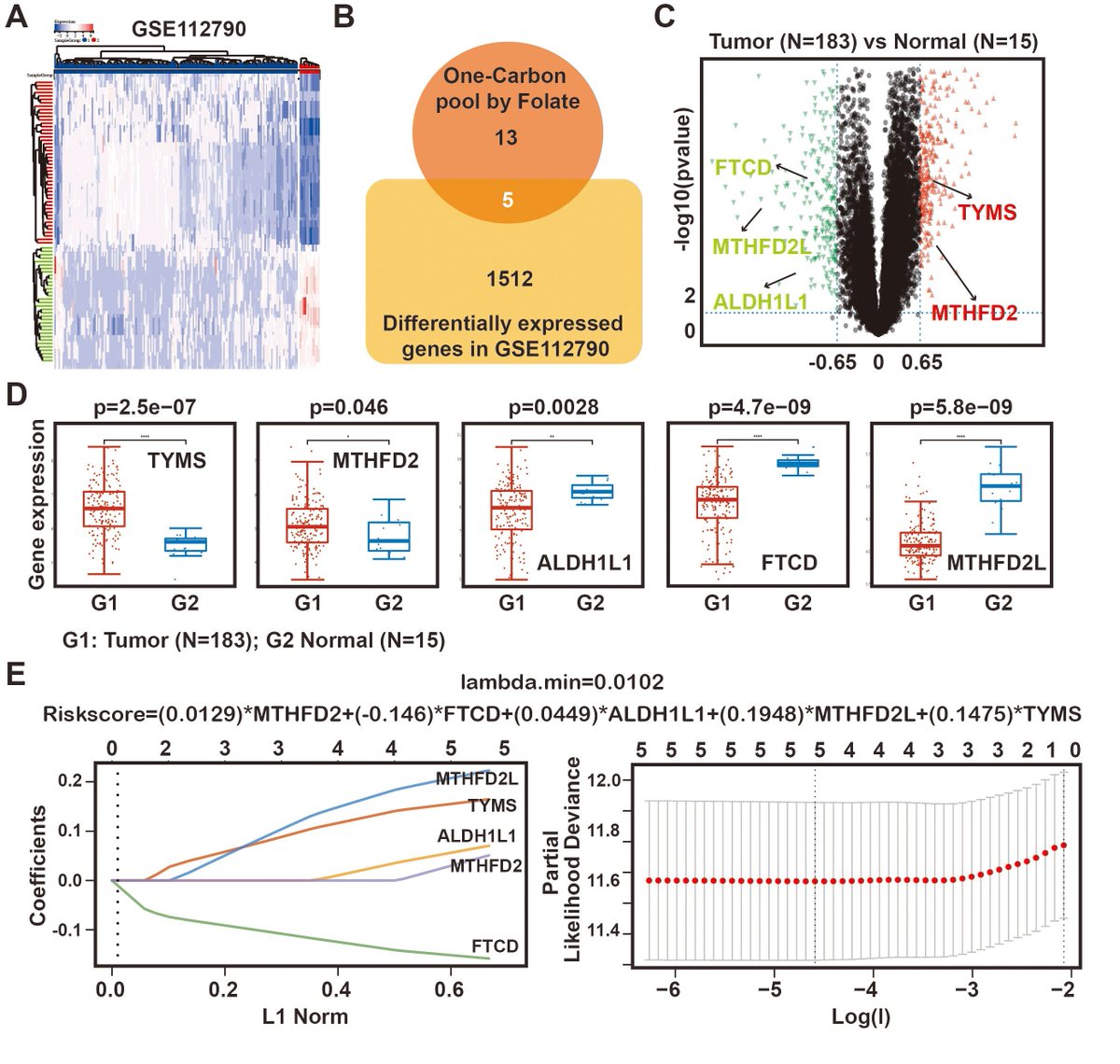 KateLiu08703628's tweet photo. π’ @Landmark_IMR #Cancerbiology #HCC π₯° Downregulation of MTHFD2 Inhibits Proliferation and Enhances Chemosensitivity in Hepatocellular Carcinoma via PI3K/AKT Pathway, BY π¨βπ Dr. Jie Wang, et al
β‘οΈhttps://t.co/qWPnFn80uW
#chemotherapy #molecular #signalingpathway #PI3K #AKT https://t.co/nD9g6hsyZZ