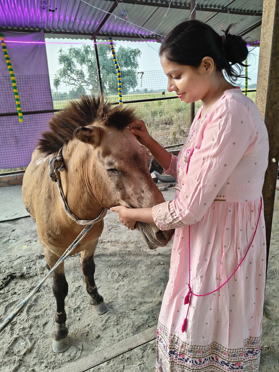 A foolish person uses his pet as long as it can be used and when the pet is of no use, he leaves it to die on the road.