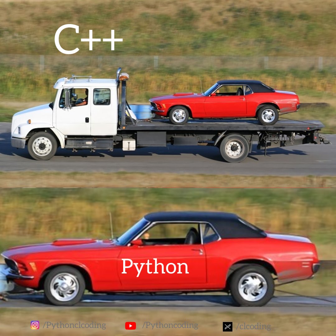 Python Coding tweet media