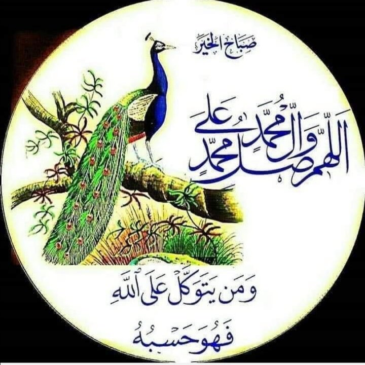 🇮🇶عَ ـًرآقيّّة آنٌآ🇮🇶 tweet media