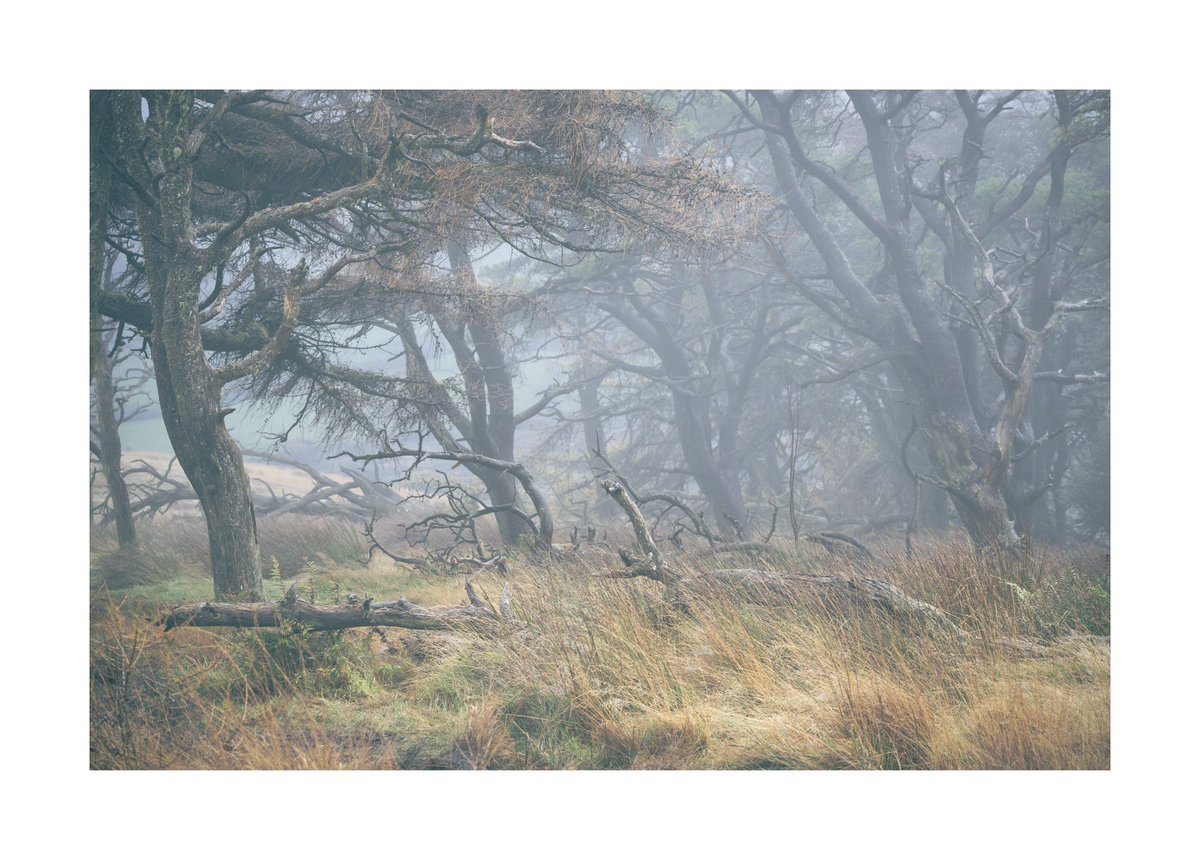 Darren Knight tweet media