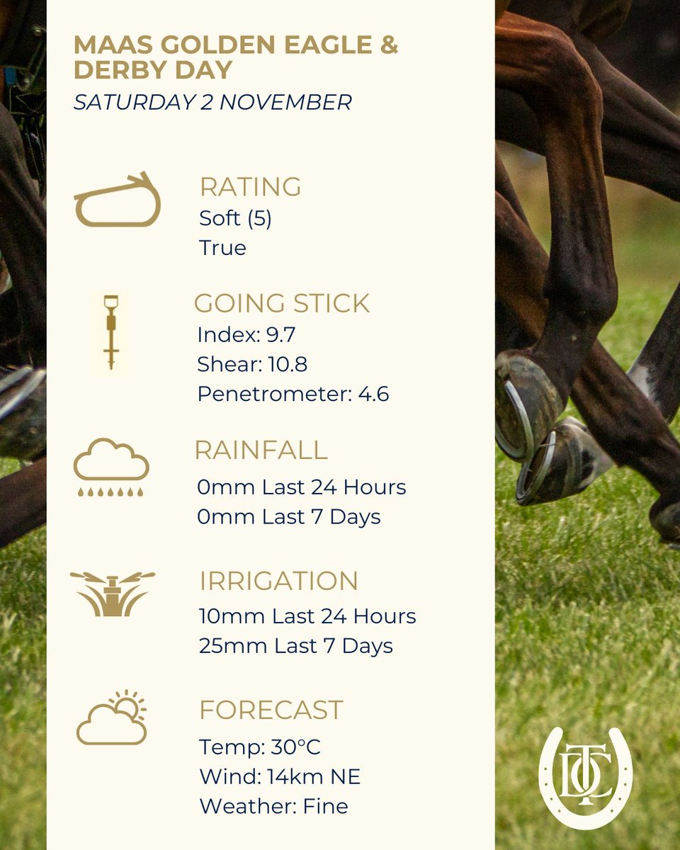 MAAS GOLDEN EAGLE &amp; DERBY DAY - TRACK REPORT
All the important details for Saturday's huge Maas Golden Eagle &amp; Derby Day. A possible shower this evening following very windy conditions this afternoon.