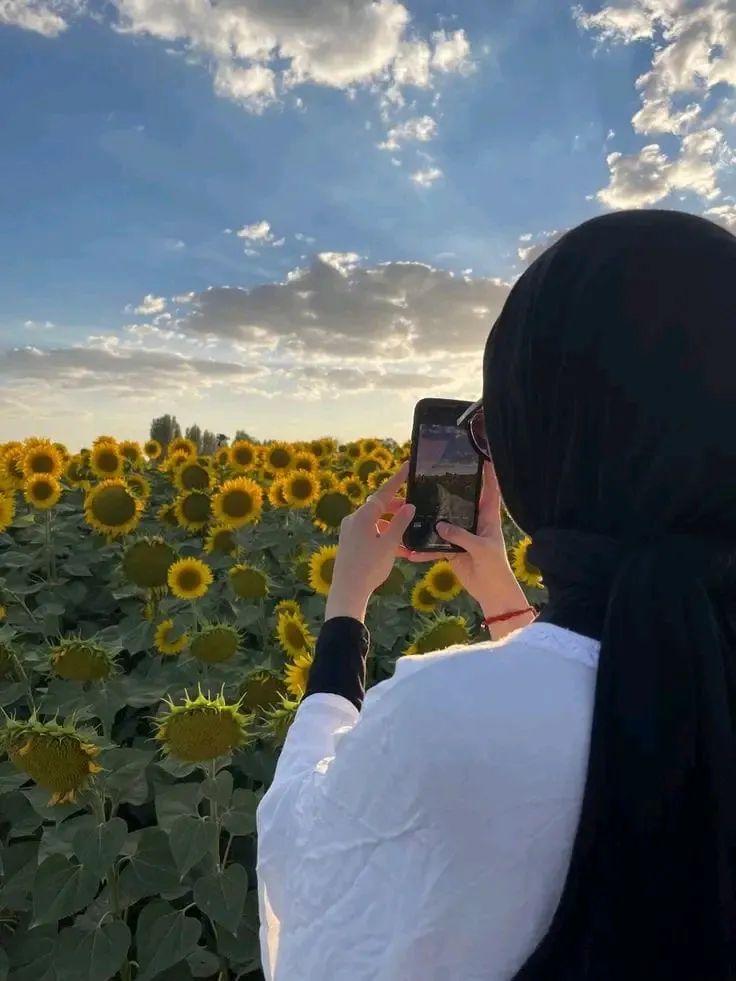 طوق الياسمين '🦋 tweet media