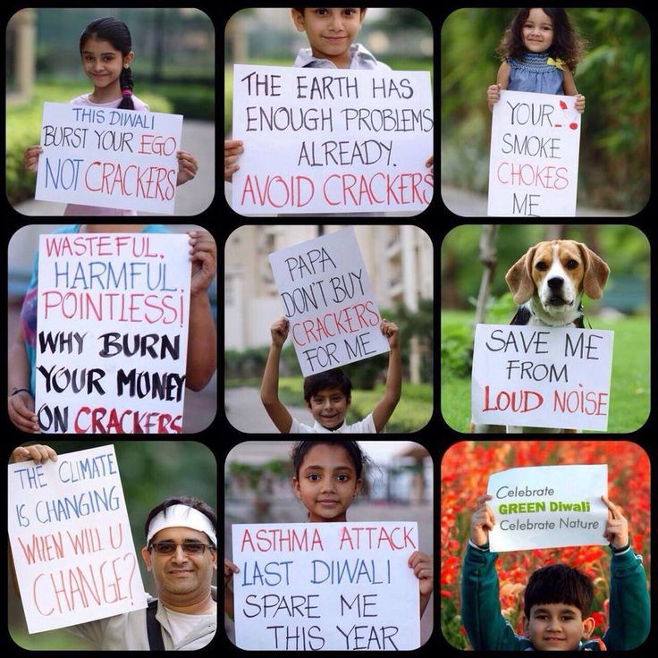 LAWKUMAR_17's tweet image. #SayNoCrackers #savenature