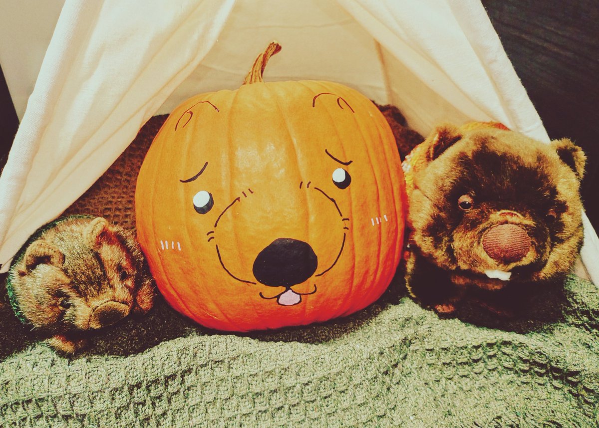 なっと、 tweet media