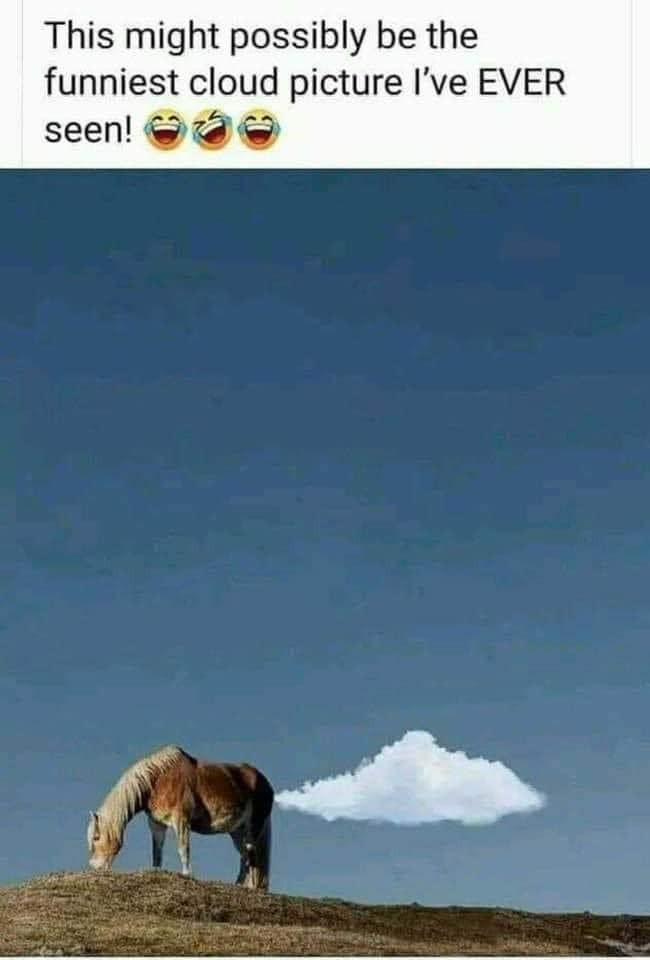 instagr.am/p/DBx2tW8IVLd/