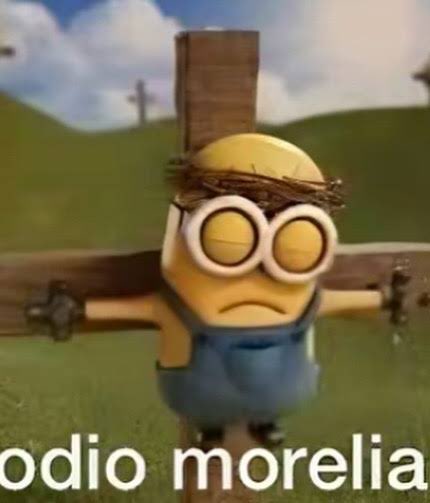 odio morelia