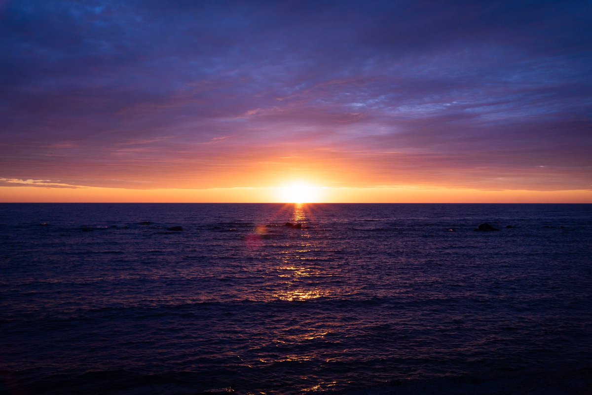 Cederfjärd tweet media