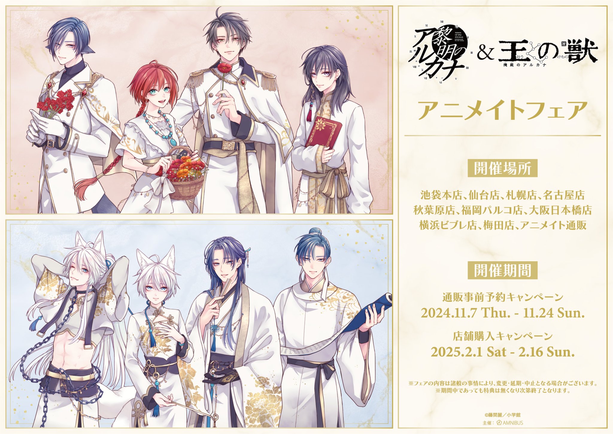 王の獣 黎明のアルカナ 藤間麗 王の獣』『黎明のアルカナ』の藤間麗先生 画業20周年記念商品が