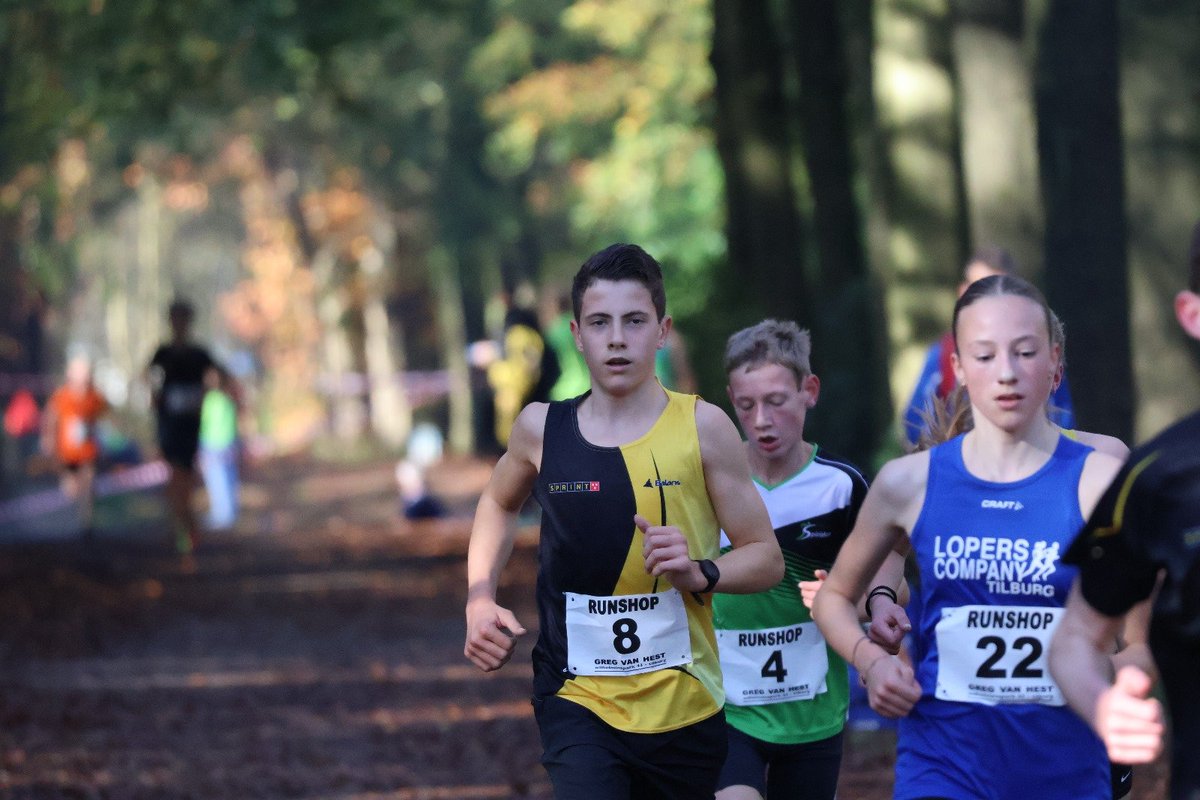 SPRINT Breda tweet media