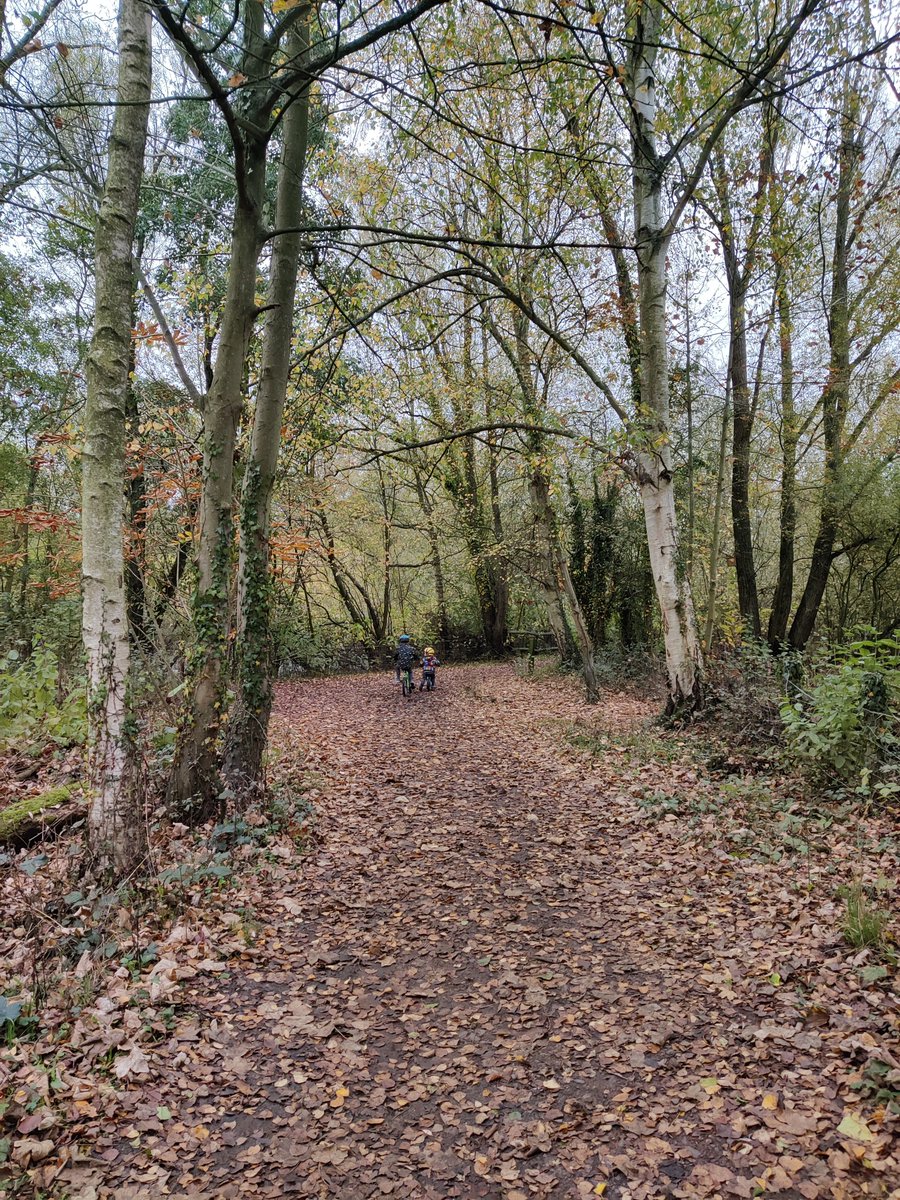 Well, it's been a busy few months and I'm just starting to resurface as I come to the end of a couple of large projects. After having no free capacity for a while, this winter I should be available to take on an extra client or two. See laurafanthorpecomms.co.uk #freelancer