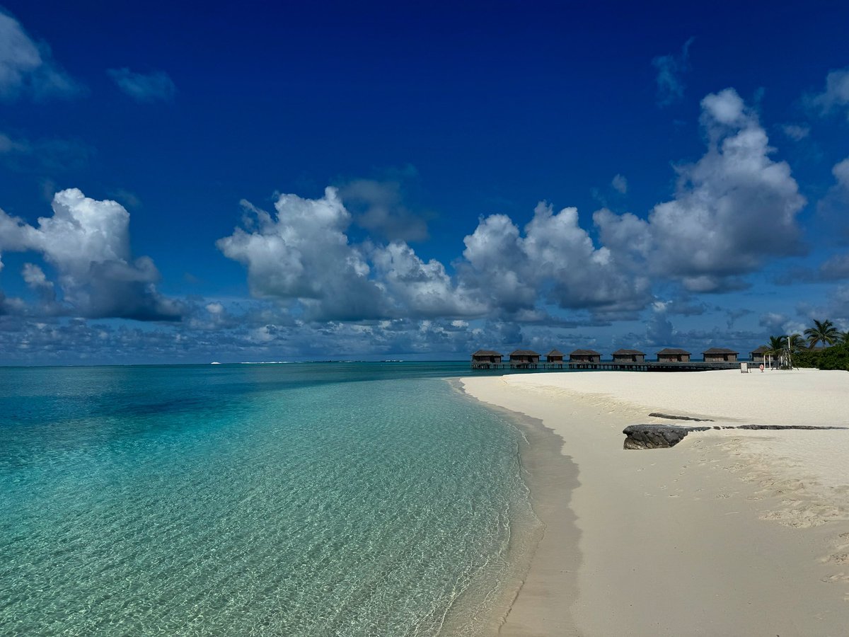 Laura Hancock tweet media