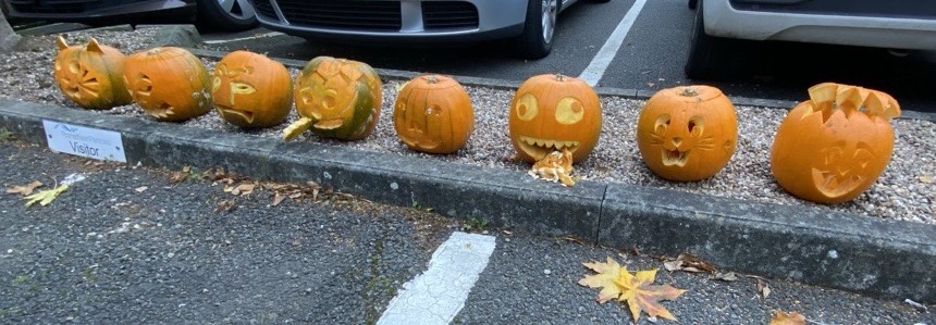 🎃 Happy Halloween! 🎃
Our growing team recently took part in some spooky fun by showing off their pumpkin carving skills! Please admire the #Halloween handiwork on display at <a href="/ProParticles/">Promethean Particles</a>, which added a seasonal touch to our site at this time of year!
