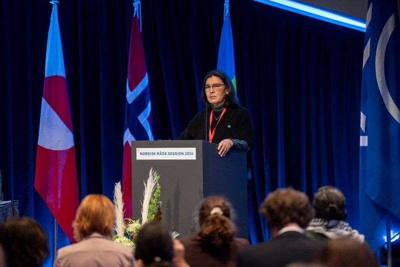 <a href="/nordenen/">Nordic Co-operation</a> Mariane Paviasen Jensen commented: "We from Greenland, we are especially worried about Norway’s plans on deep-sea mining as we can imagine it can have enormous consequences also for our waters. We cannot accept that Norway has plans that impact other Nordic seas."