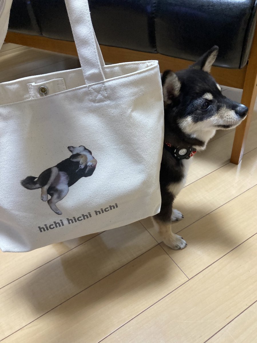 panpacapaaann's tweet photo. 犬ちゃのお散歩バッグ作った〜かわいすぎる〜〜😣 https://t.co/9hFjgEjkv5