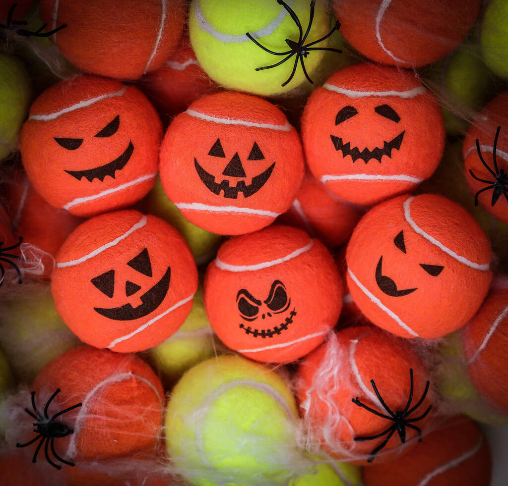 Worcester Lawn Tennis Club tweet media