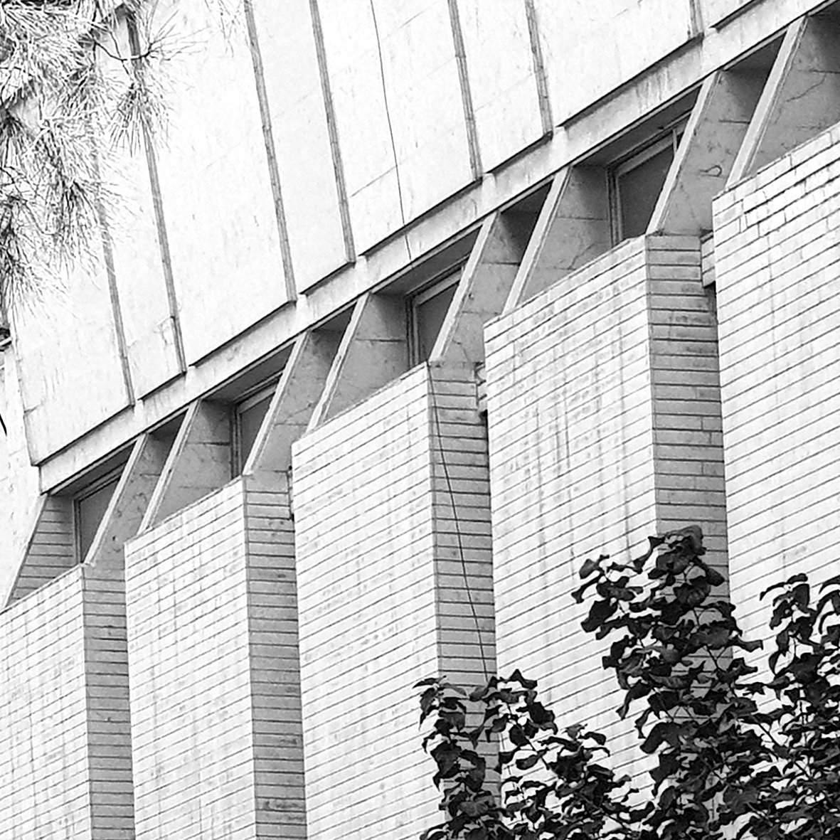 tehranbrutalism's tweet photo. #TB26
LOCATION:W ZARTOSHT ST, TEHRAN
KUORASANIHA SYNAGOGUE
PHOTO BY:@Mostafaasadeghi

https://t.co/QzuaDM6lvt

#tehranbrutalism #tehran #Iran #brutal #brutalism #brutalarchitecture #brutalist #brutal_architecture     
#تهران_بروتالیسم #تهران https://t.co/oSTyDqVunL