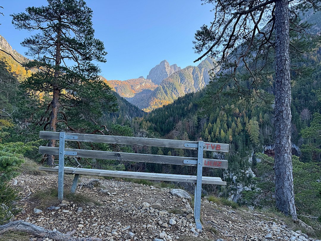 Peter Höflehner tweet media