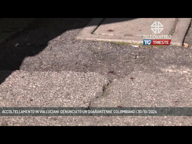 TRIESTE | ACCOLTELLAMENTO IN VIA LUCIANI: DENUNCIATO UN QUARANTENNE COLOMBIANO
telequattro.medianordest.it/54598/trieste-…